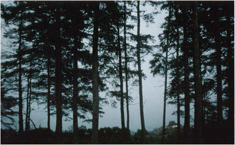 maine 2